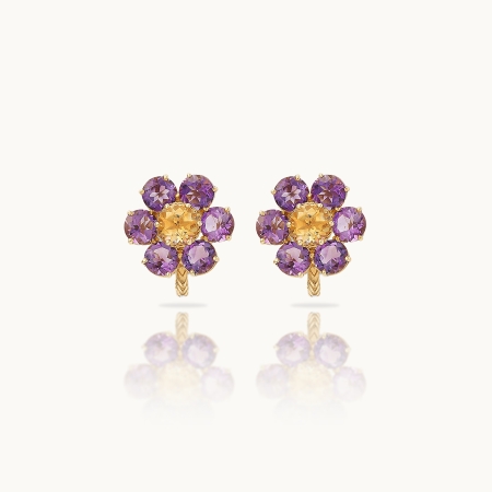 Women’s Earrings Dolce & Gabbana Spring